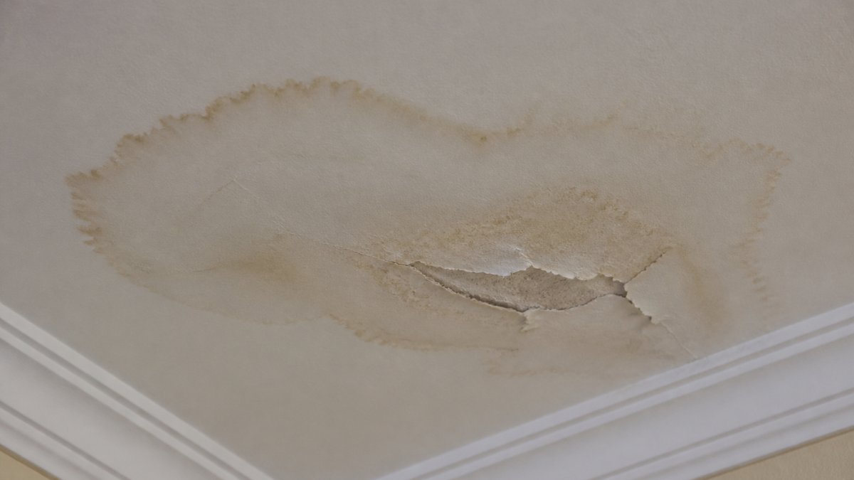 Close-up of a ceiling with a visible brown water stain and peeling paint, showing the characteristic halo shape of a roof leak
